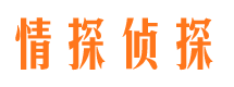 北碚找人公司